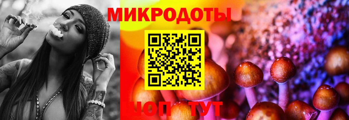 Псилоцибиновые грибы Magic Shrooms Ртищево